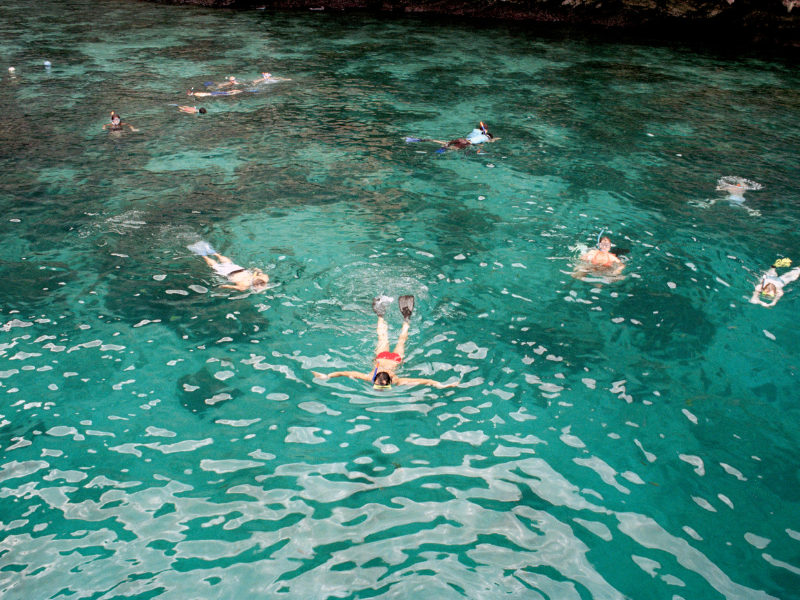 People swimming and snorkeling in clear turquoise water, with one person in a red swimsuit and flippers in the foreground and others scattered in the background.