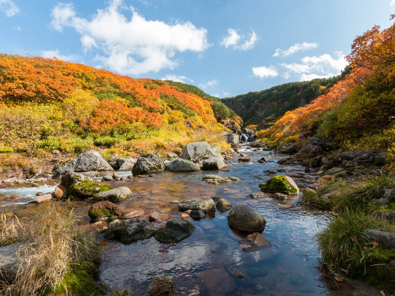 Clear mountain stream flowing over rocks in a vibrant autumn landscape in Japan, surrounded by red, orange, and yellow foliage under a bright blue sky with scattered clouds.
