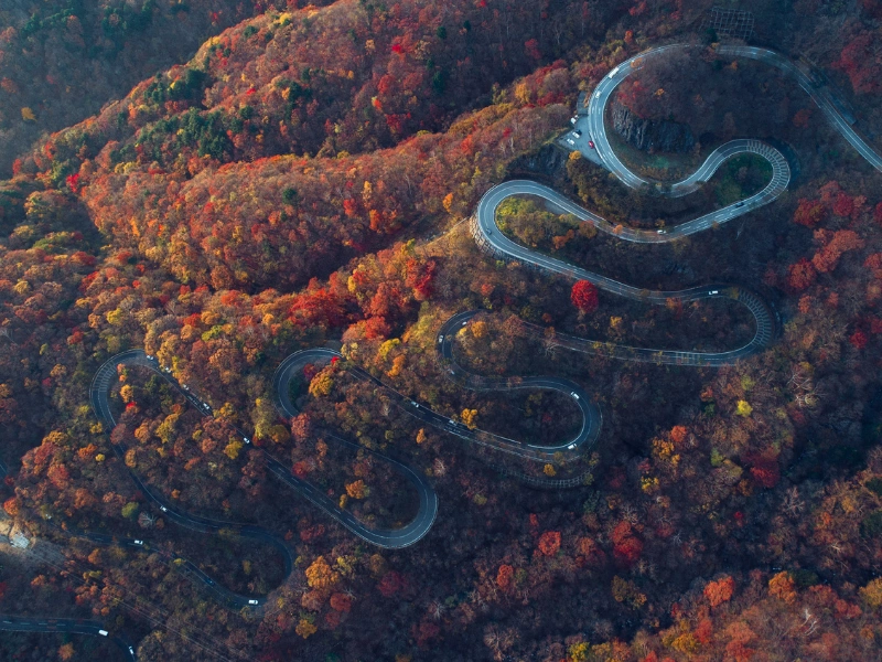 Winding mountain road in Nikko, Japan, surrounded by dense forest with vibrant autumn foliage in shades of red, orange, and yellow.