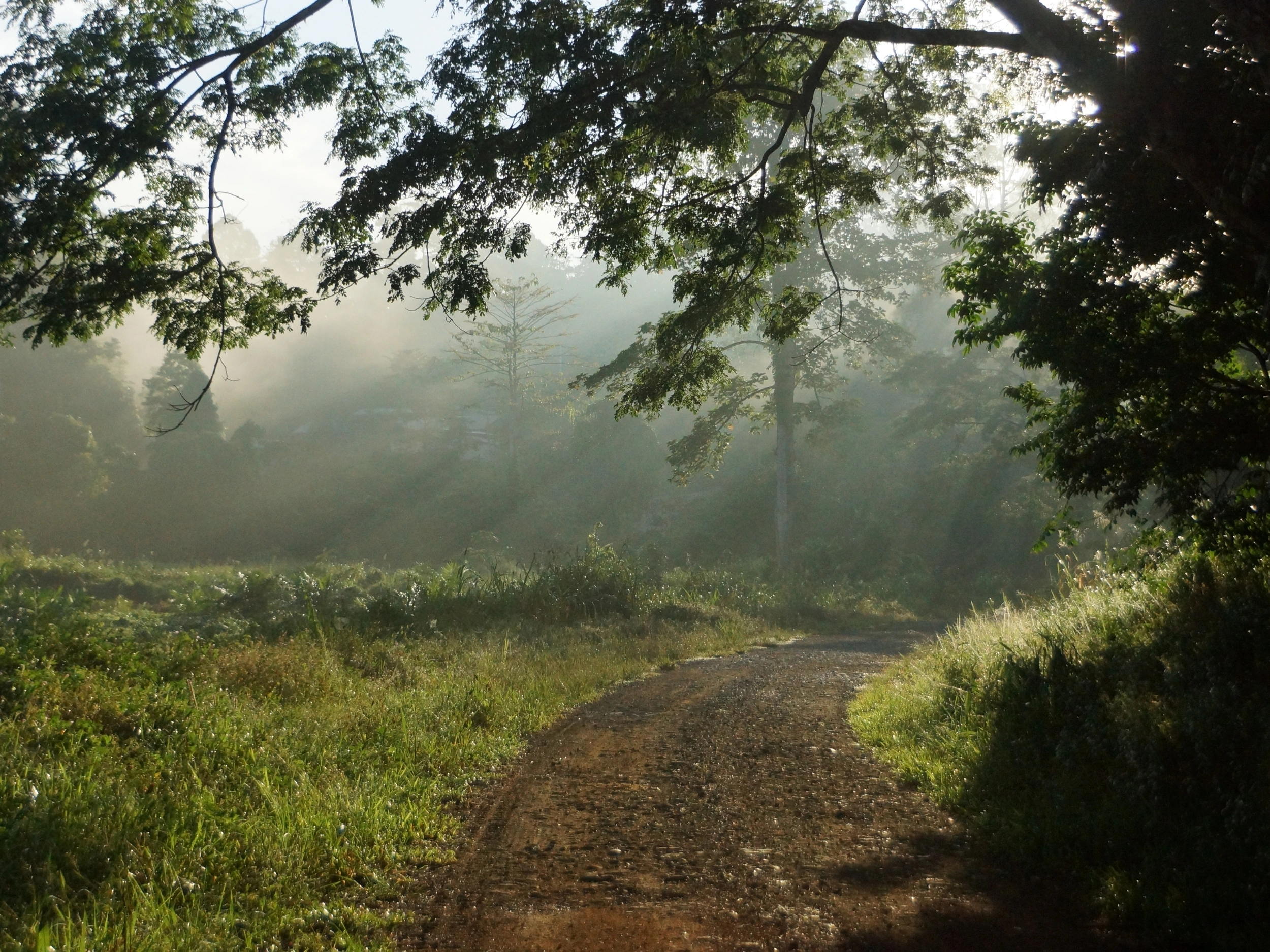 Tabin Wildlife