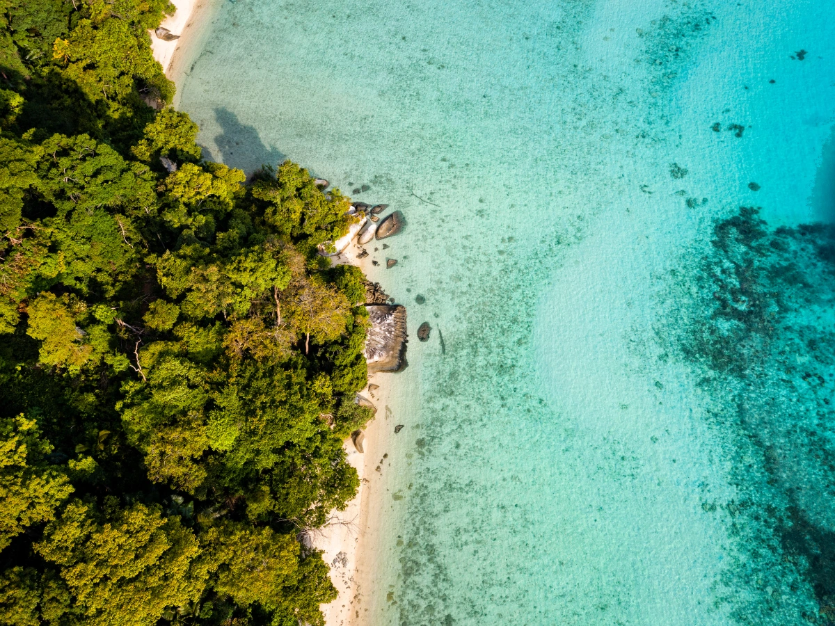 Aerial view of a tropical beach with clear turquoise water. Dense green foliage lines the left side, transitioning into a sandy shoreline on the right. The sea displays varying shades of blue and green, with visible underwater features and rocks near the edge where the forest meets the beach.