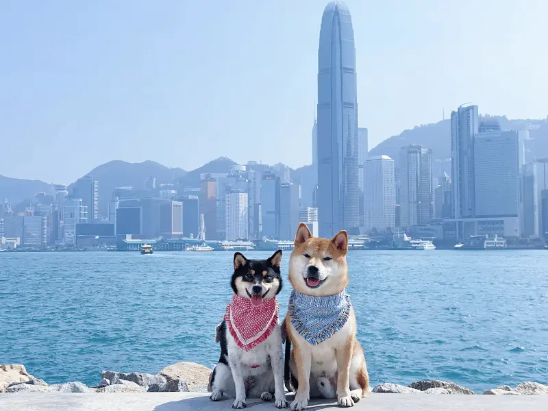 West Kowloon