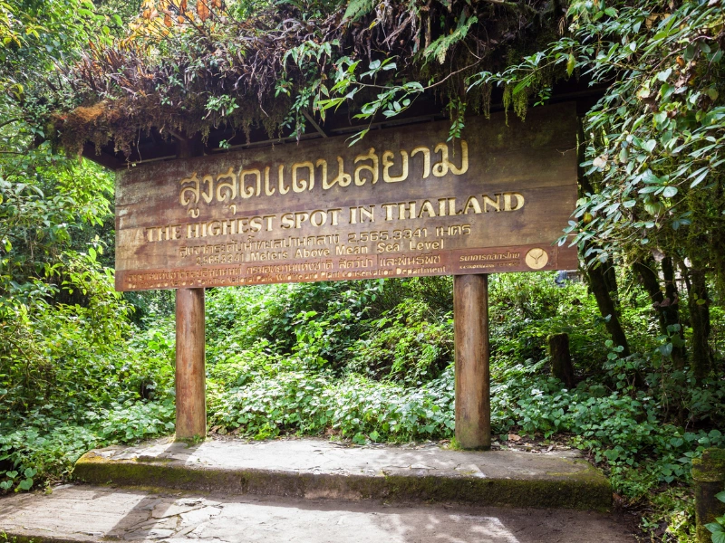 A wooden sign in Thai and English surrounded by greenery, marking the highest spot in Thailand at 2,565.3341 meters above sea level.