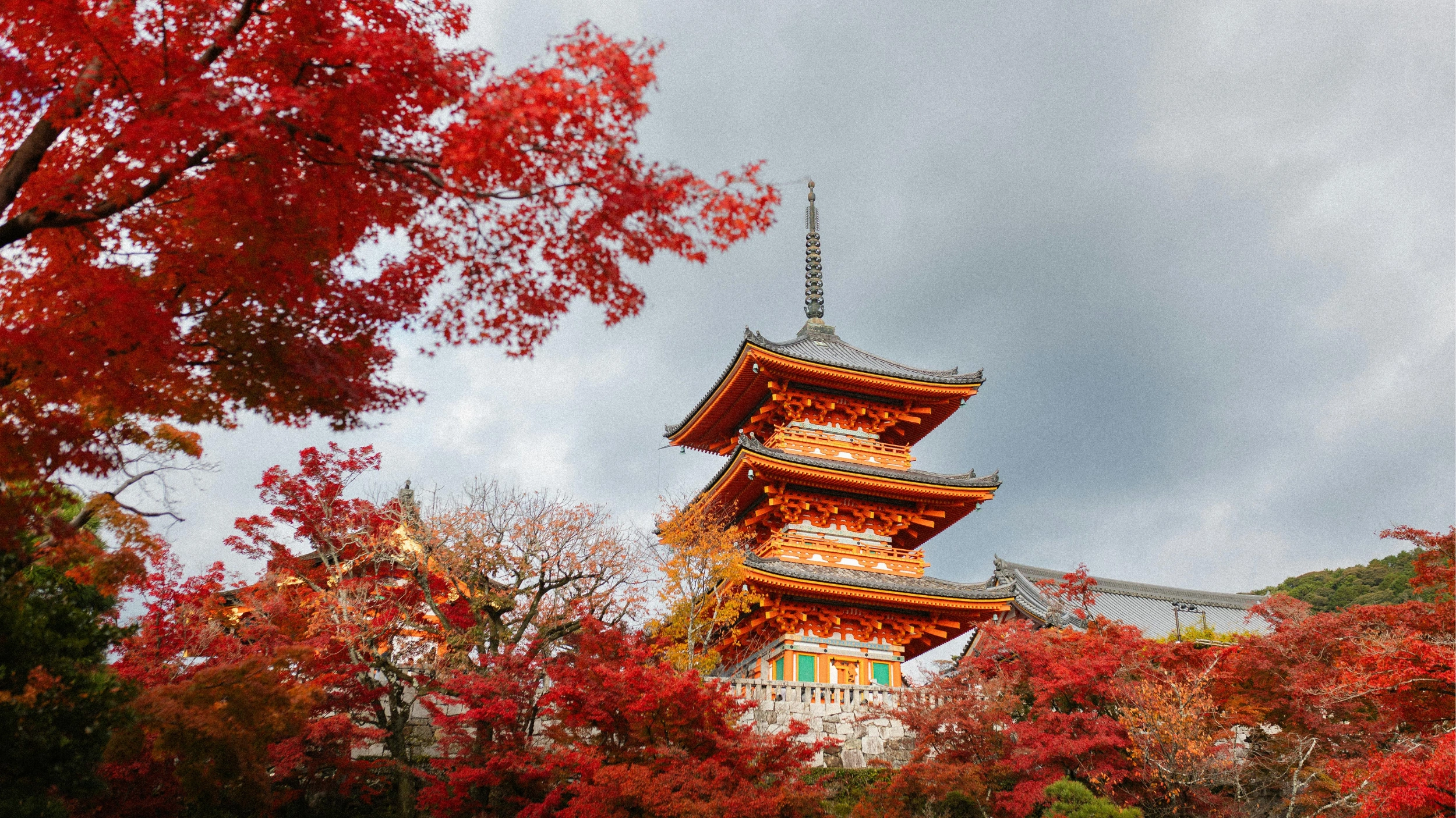 Stunning view of the orange-red three-story pagoda at Kiyomizu-dera Temple surrounded by fiery red maple leaves in Kyoto.