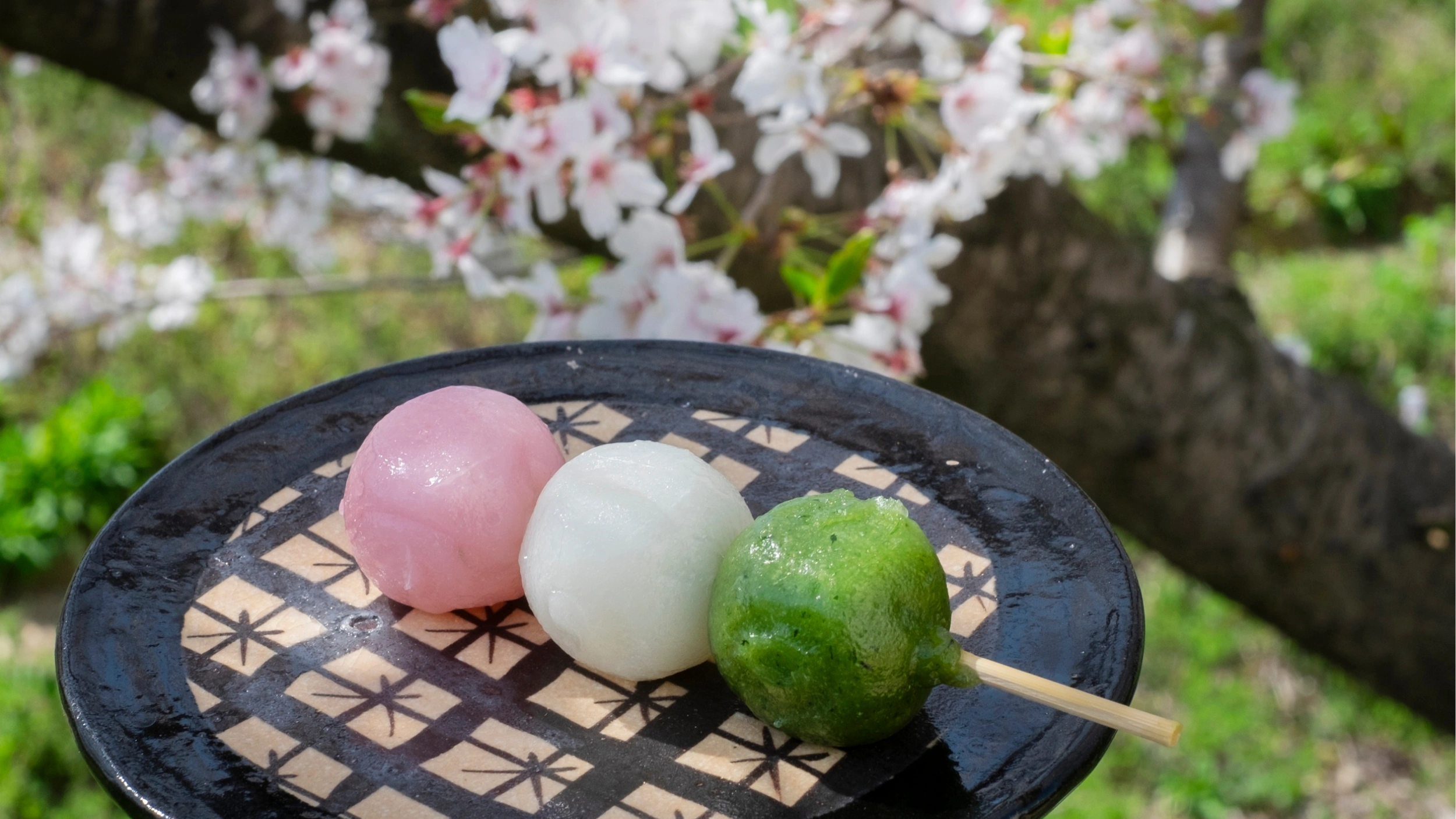 Traditional three-color Hanami Dango (pink, white, green) on a plate with blurred cherry blossoms in the background.
