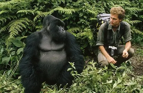 Tarzan