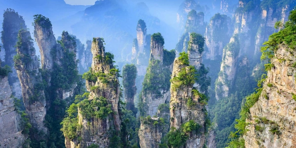Zhangjiajie National Forest Park in Hunan, China, featuring towering sandstone pillar formations covered in lush greenery and mist, one of China's most iconic eco-tourism destinations.