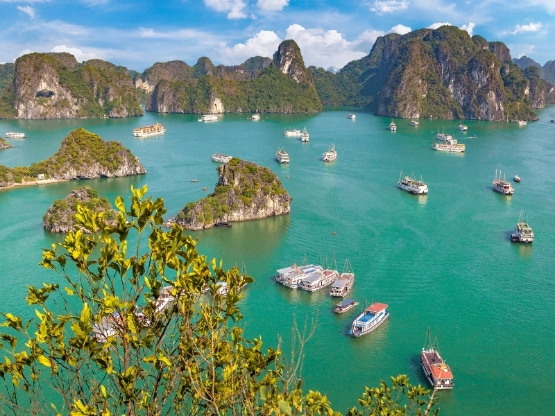 Scenic view of Ha Long Bay in Vietnam with limestone islands covered in greenery, turquoise waters dotted with boats, and green foliage in the foreground under a partly cloudy sky.
