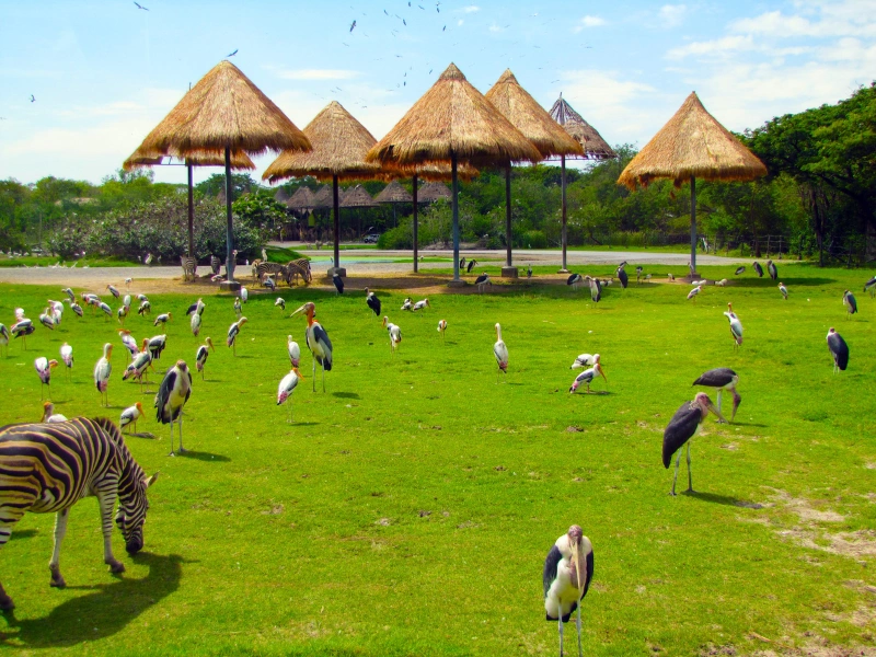 Grassy area with birds and a zebra grazing, surrounded by trees and bushes, with thatched-roof stilted huts in the background under a partly cloudy sky.