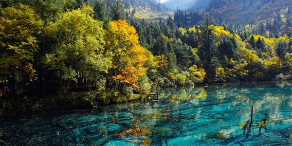 Turquoise lakes and waterfalls surrounded by forested mountains in Jiuzhaigou Valley, China.