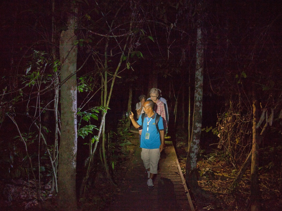 Two people walking on a narrow wooden path through a forest at night, with the person in front holding a flashlight that illuminates the path ahead. Trees and foliage surround the dark trail.
