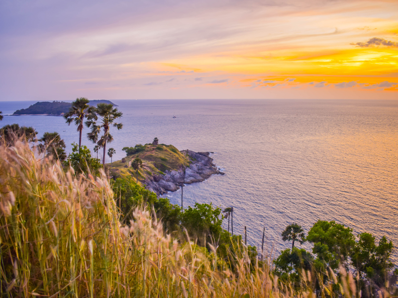 Scenic coastal view at sunset with tall grasses, palm trees, a rocky promontory, and an island in the distance under a colorful sky.
