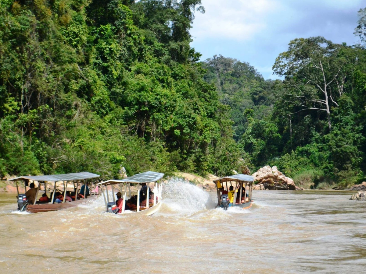 Three motorboats speeding along a river surrounded by dense green forest, creating splashes in the water under a partly cloudy sky in a tropical or subtropical setting.