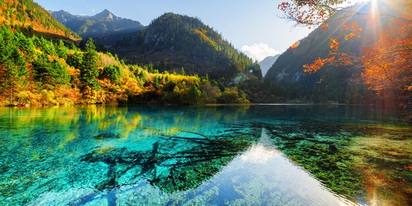 Jiuzhaigou National Park in Sichuan, China, featuring crystal-clear turquoise lakes, colorful forests, and majestic mountain scenery in a UNESCO World Heritage eco-tourism destination.