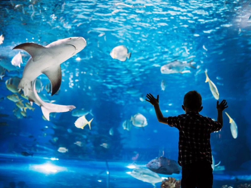 Children observing marine life through a glass tunnel at Sea Life Bangkok Ocean World.