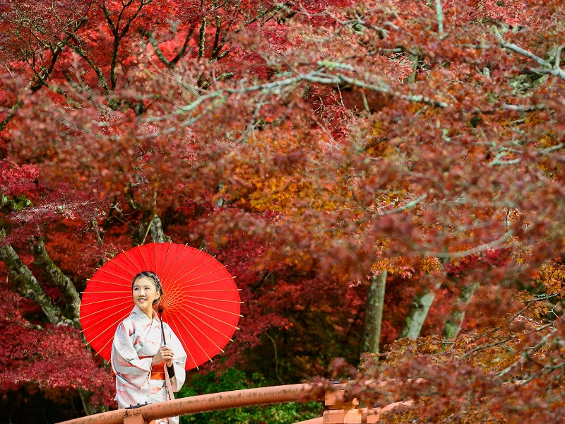 Person in traditional Japanese clothing holding a red umbrella, standing on a bridge surrounded by vivid red and orange autumn leaves.