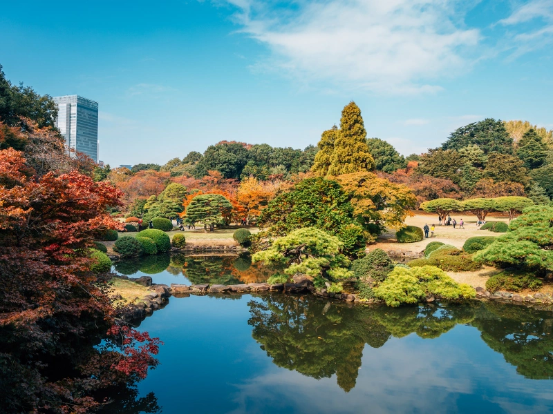 Scenic view of Shinjuku Gyoen National Garden with a reflective pond, autumn-colored trees, lush greenery, and a tall modern building in the background under a partly cloudy sky.