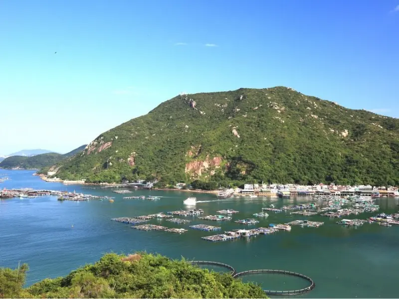 Hidden Gems of Hong Kong