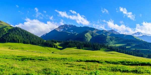 Meet You Train Luxury Nalati grassland,Xinjiang,China