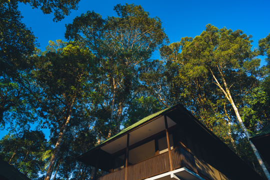 3D2N Rompin Rainforest Lodge Image