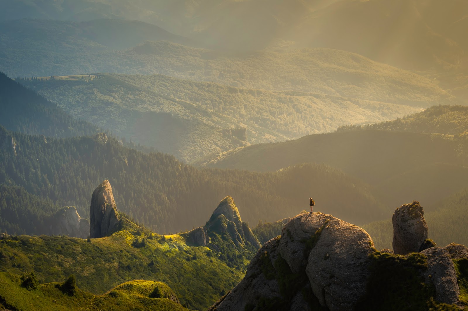 5 Reasons Why You Should #TravelLater Banner Image