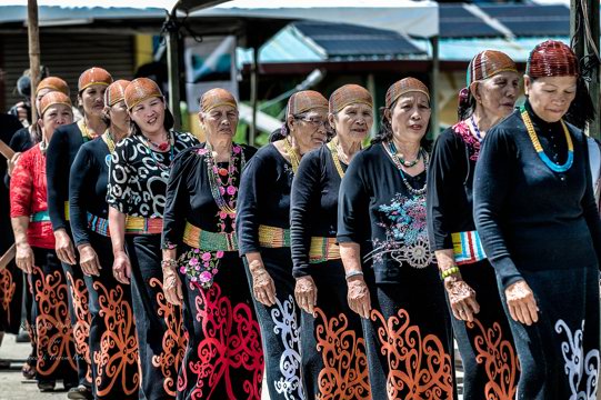 4D3N Bario Valley Discovery Image