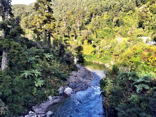 Top 5 Ecotourism Attractions in New Zealand