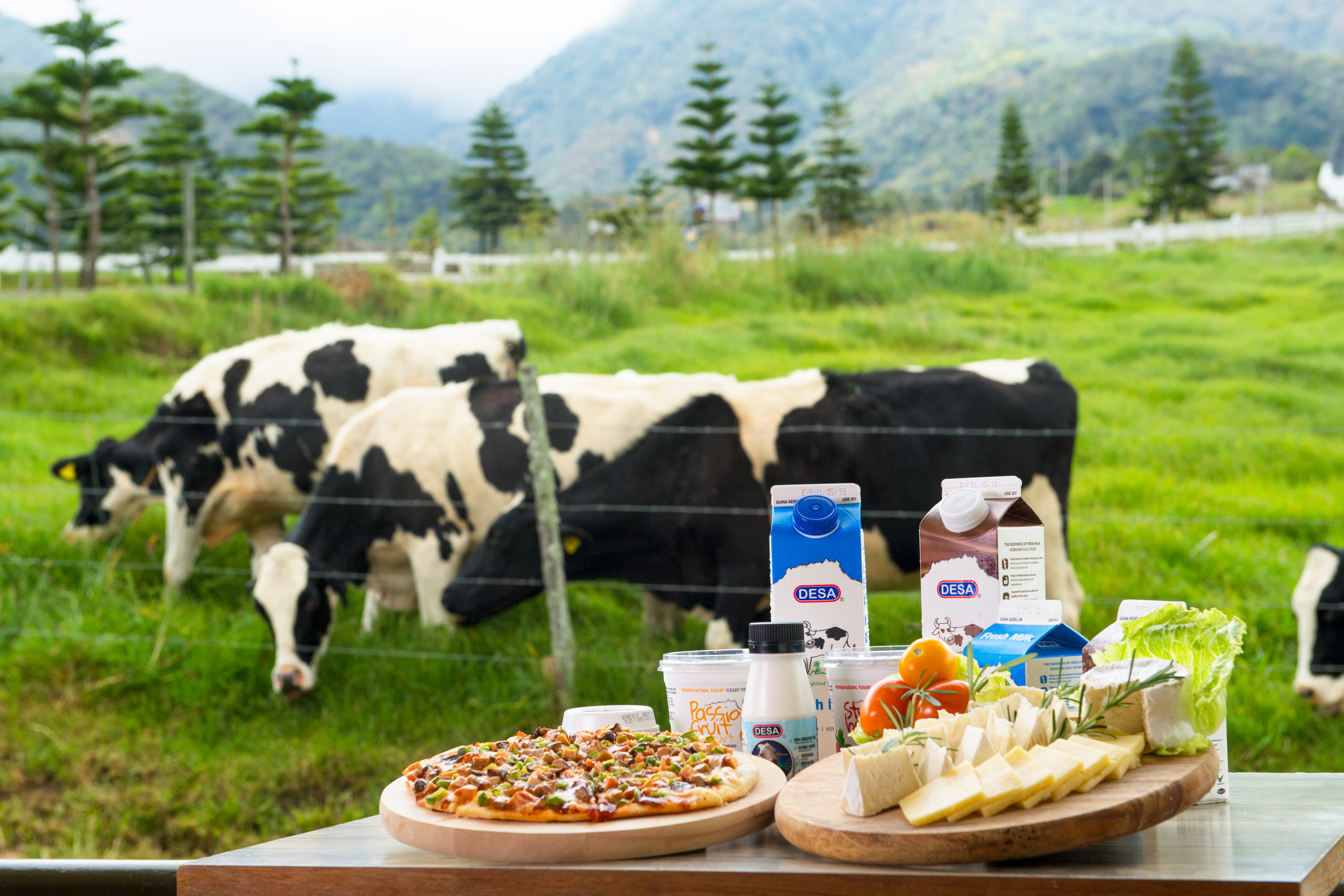 3D2N Cooling Kundasang & Kota Kinabalu Image