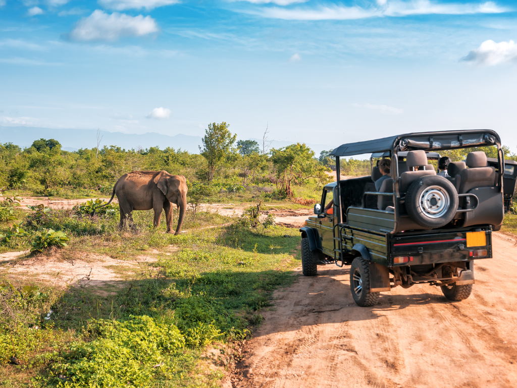 Sri-Lanka <p>Best of Sri Lanka + Yala Safari Tour</p> Tour Image
