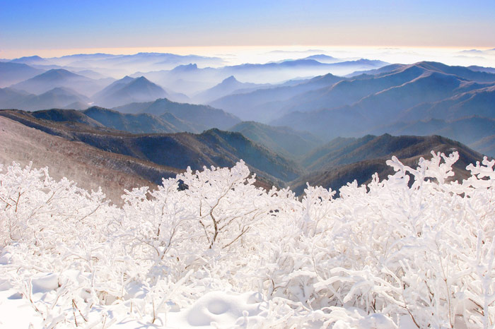 Top 10 Breathtaking Hikes in South Korea Image