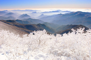 Top 10 Breathtaking Hikes in South Korea Image