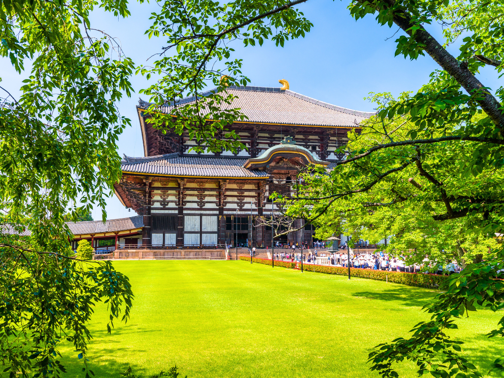 Japan <p>1-Day Kyoto &amp; Nara Tour, No Lunch (Round-trip from Kyoto) - Seat in coach</p> Tour Image