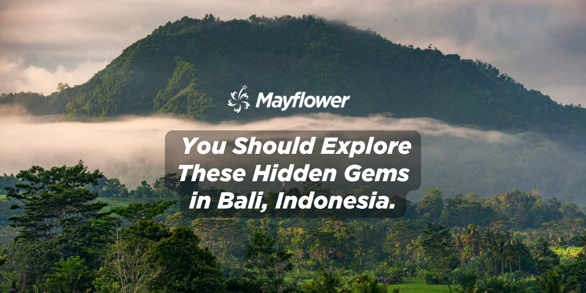 You Should Explore These Hidden Gems in Bali, Indonesia Image