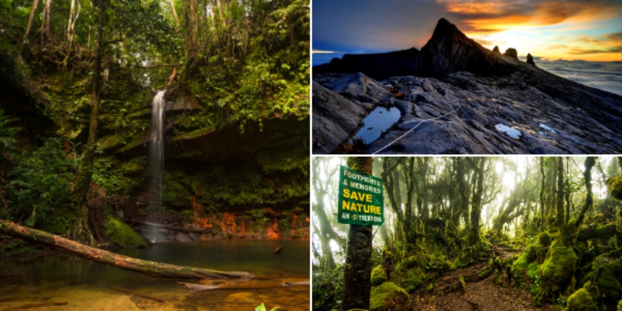 Top 10 Hiking Trails to Conquer in Malaysia Image
