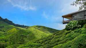 5 Great Reasons For Malaysians To Travel Local Image