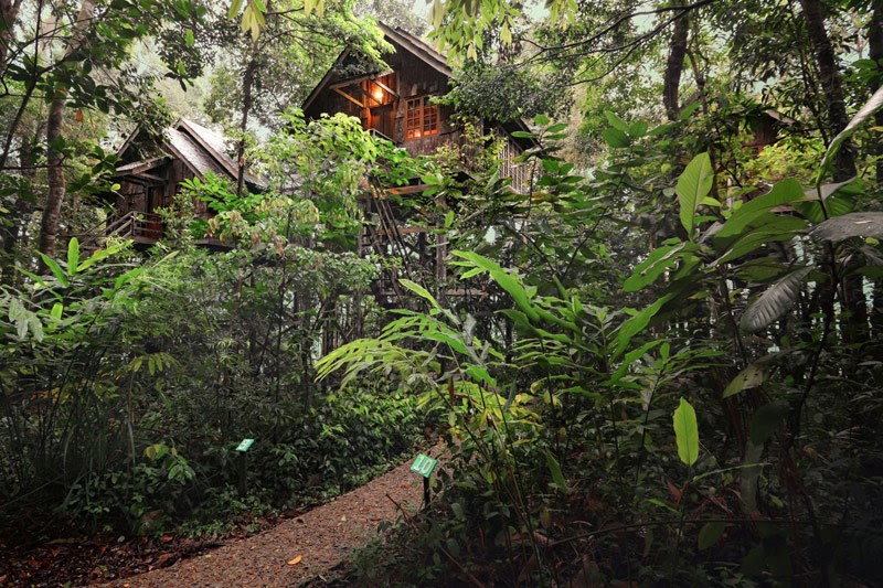 Top 10 Hidden Treehouse Hotels To Stay In For The Perfect Escape Banner Image