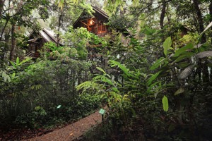 Top 10 Hidden Treehouse Hotels To Stay In For The Perfect Escape Image