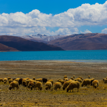 Tibet Image