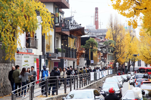 The Ultimate Autumn Guide in Seoul Image