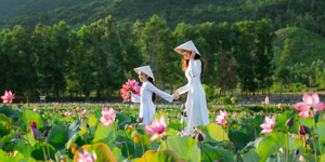 Must-Visit Vietnam + Travel Tips Image