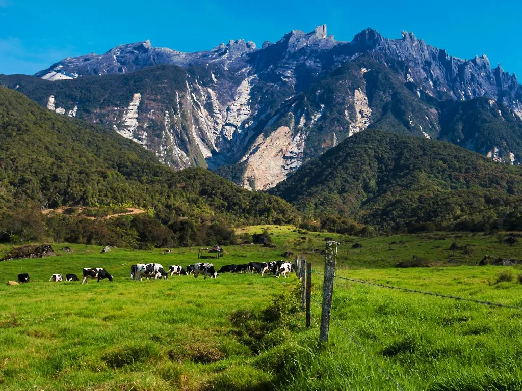  Kota Kinabalu Image