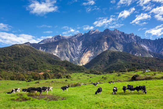 3D2N Cooling Kundasang & Kota Kinabalu Image