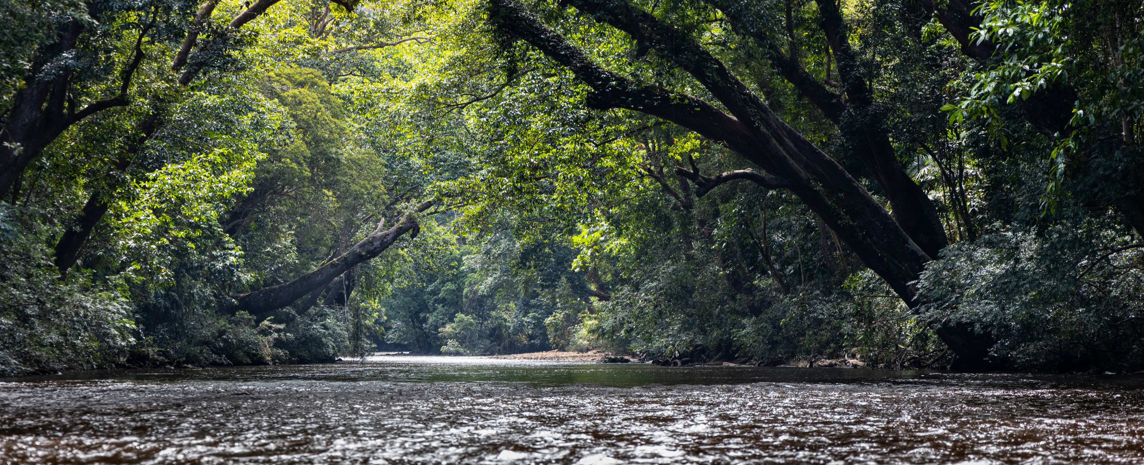 3D2N Treasures of Taman Negara (Opt 2) Image