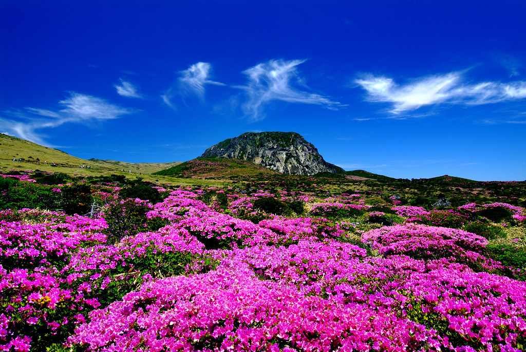 Top 10 Activities To Do in Jeju Island Image