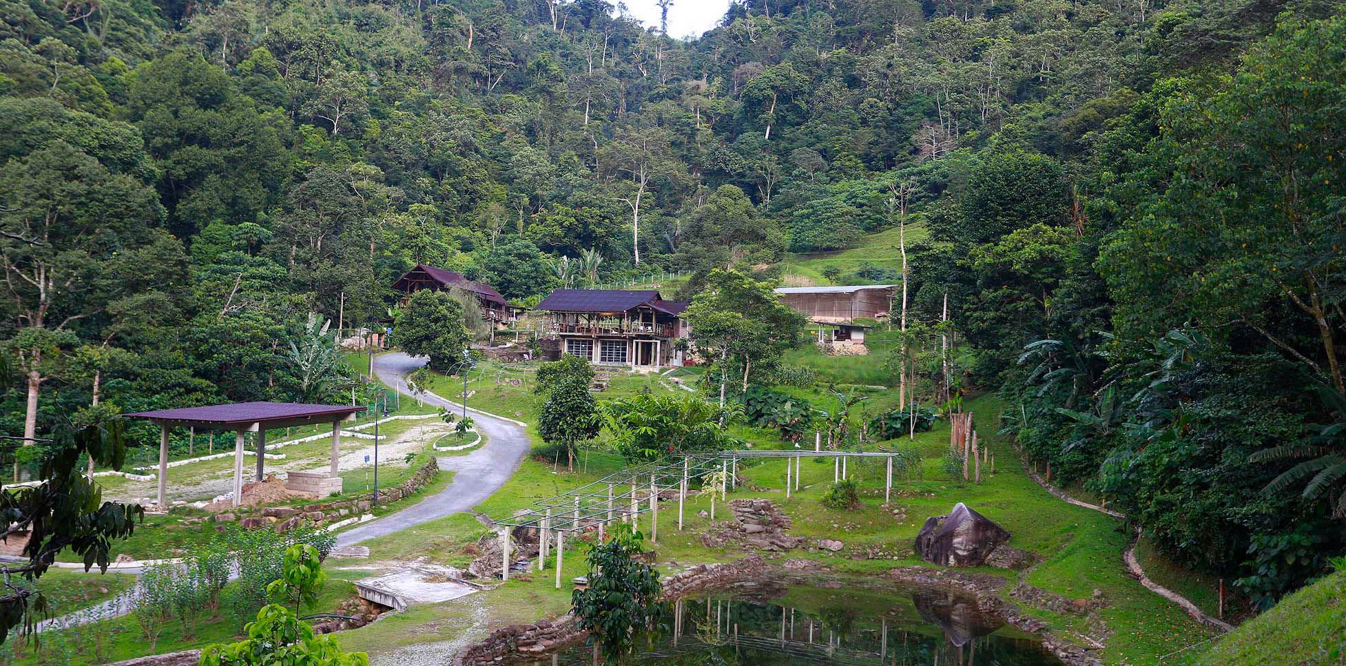 5 Amazing Farms To Experience In Bentong Image