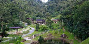 5 Amazing Farms To Experience In Bentong Image