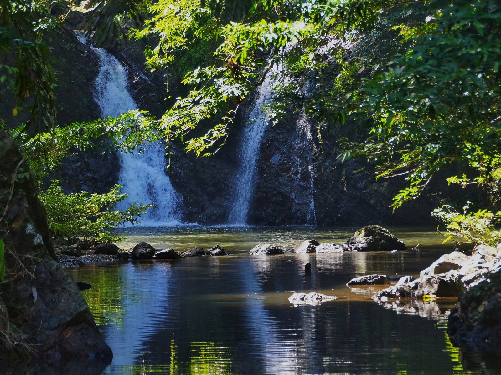 Discover Tabin Wildlife Reserve: Sabah’s Hidden Gem for Eco-Adventures Image