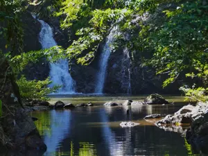 Discover Tabin Wildlife Reserve: Sabah’s Hidden Gem for Eco-Adventures Image
