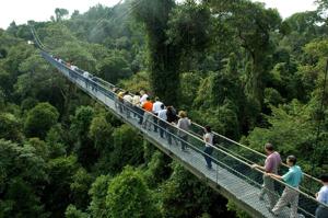 More Things To Do Off The Beaten Track in Singapore Image