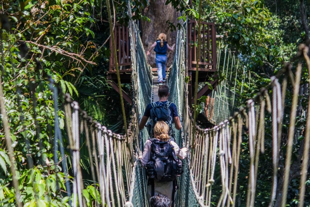 Explore The Wild With This 3D2N Taman Negara Itinerary Image